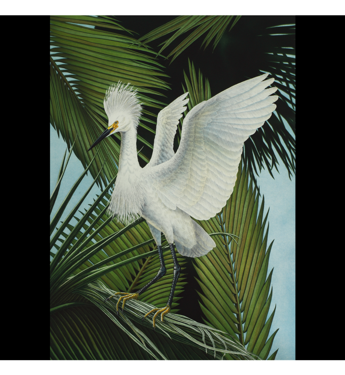 John costin mainsail art festival